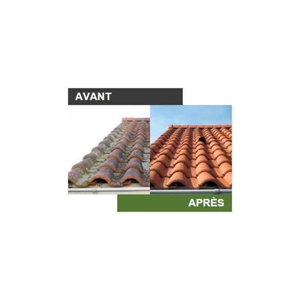 Traitements Des Toitures Algimouss Pro - Traitement Fongicide Toitures Murs Et Façades - Bidon De 30 Litres 2 Traitements Des Toitures Algimouss Pro - Traitement Fongicide Toitures Murs Et Façades - Bidon De 30 Litres – Image 2